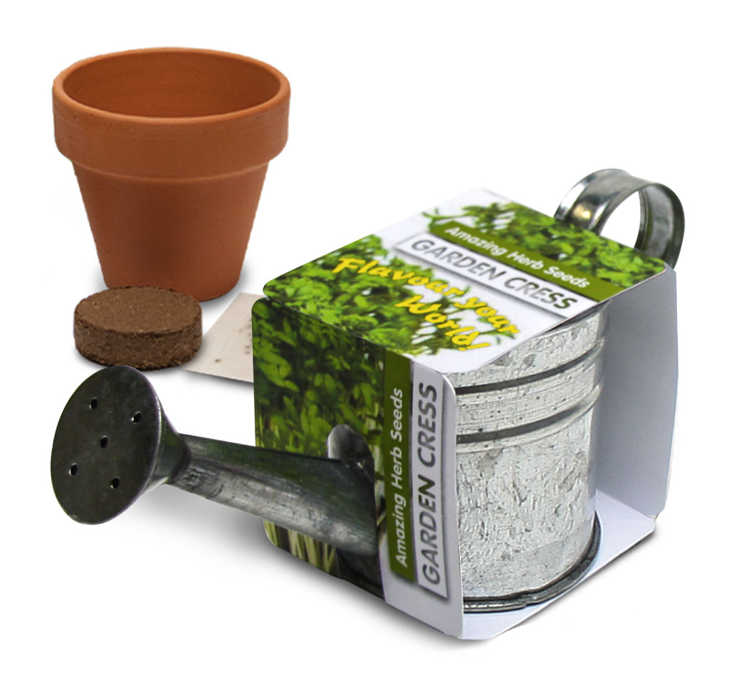 Zinc watering can